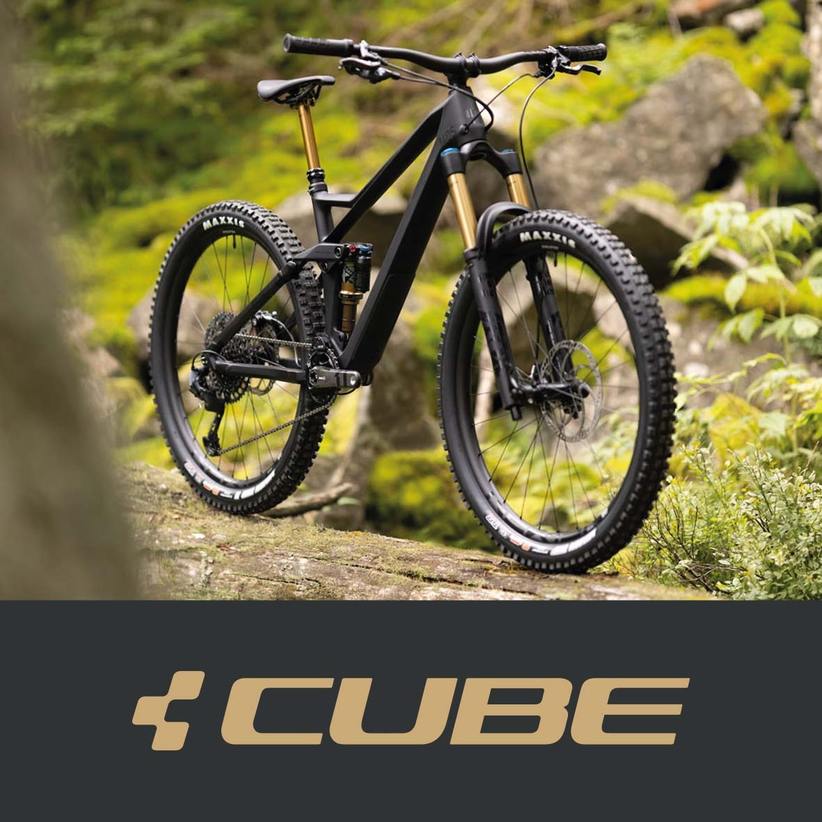 Nous acceuillons CUBE BIKES