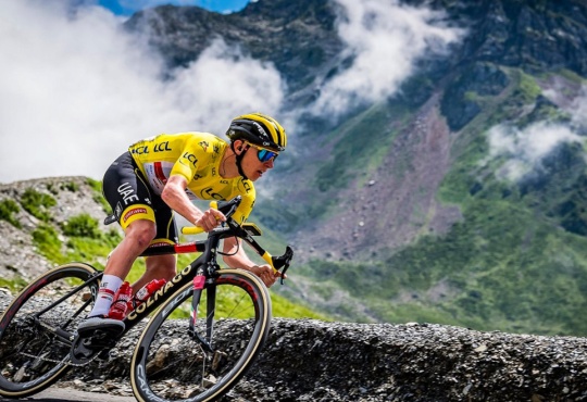 Colnago