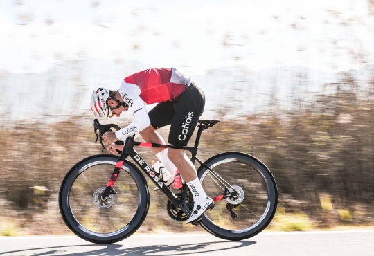 De Rosa